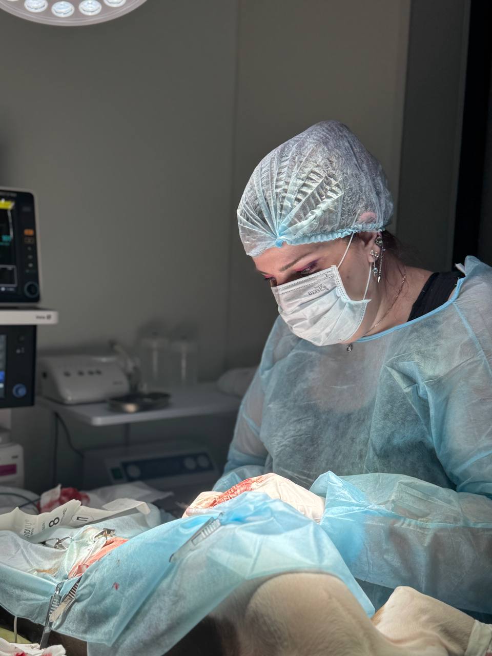 Опыт ветеринара-онколога Ольги Сорокиной: опухоли молочных желёз у животных